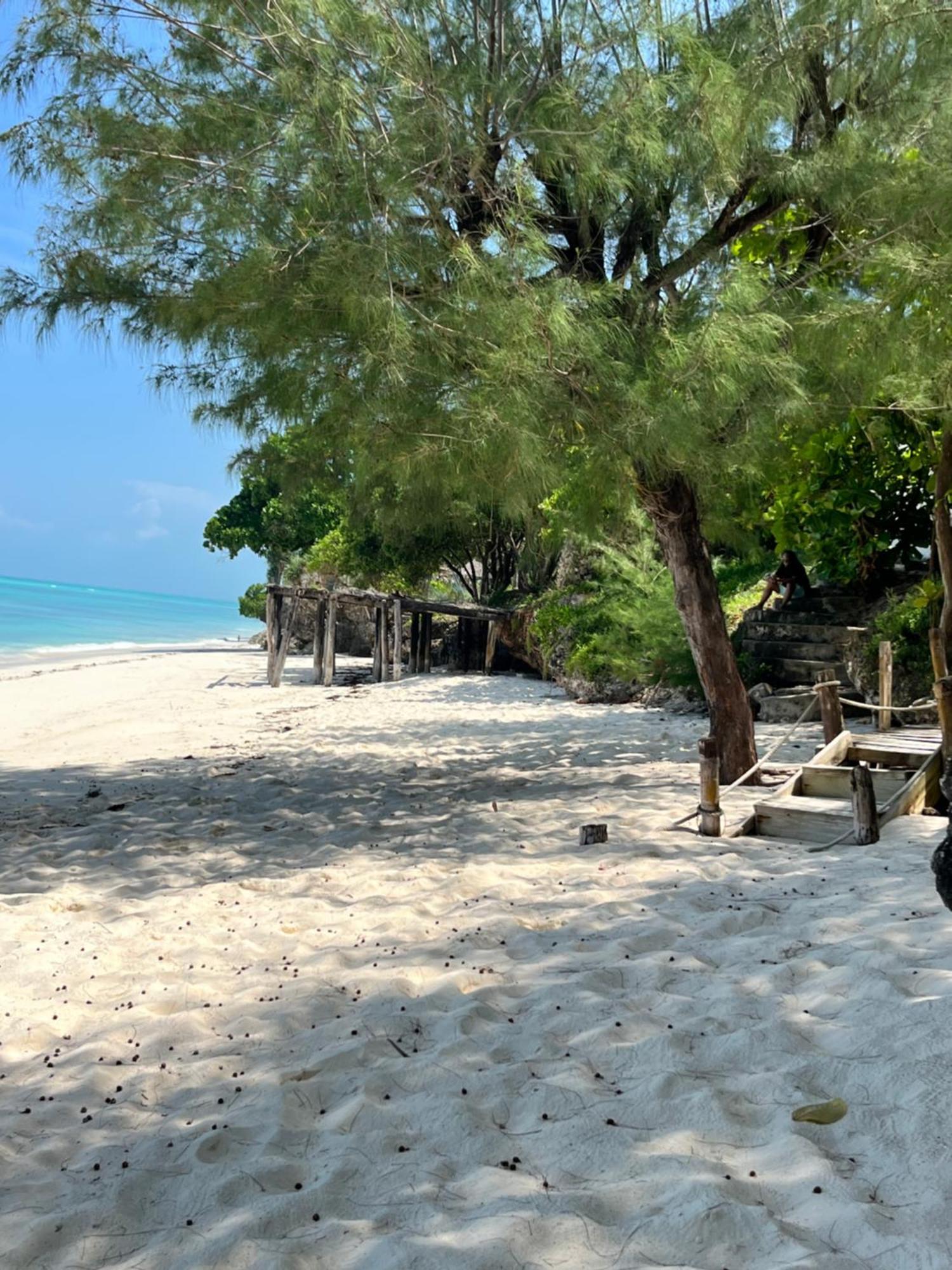 Sazani Beach Lodge And Tidal Lounge Нунгви Экстерьер фото