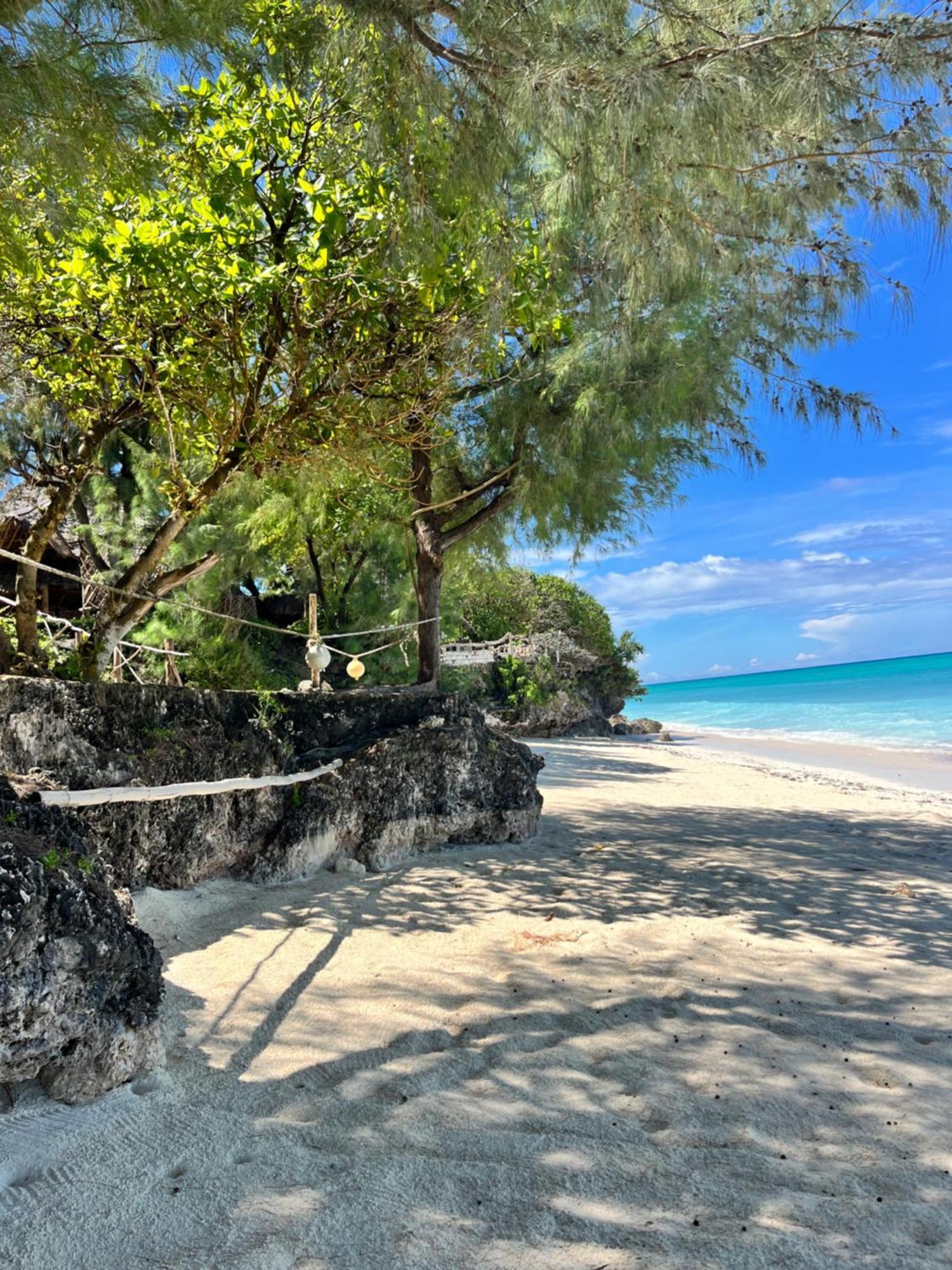 Sazani Beach Lodge And Tidal Lounge Нунгви Экстерьер фото