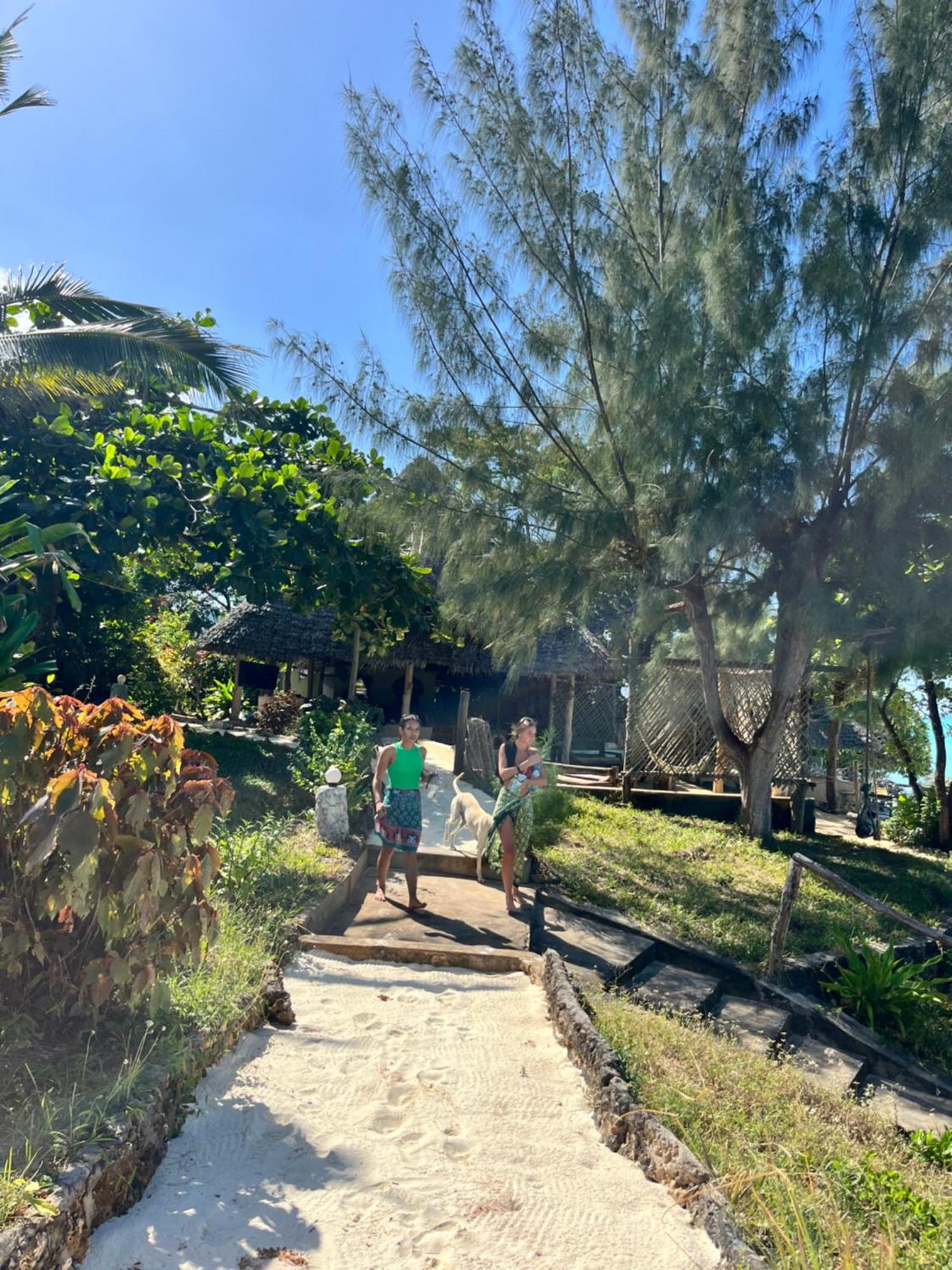 Sazani Beach Lodge And Tidal Lounge Нунгви Экстерьер фото