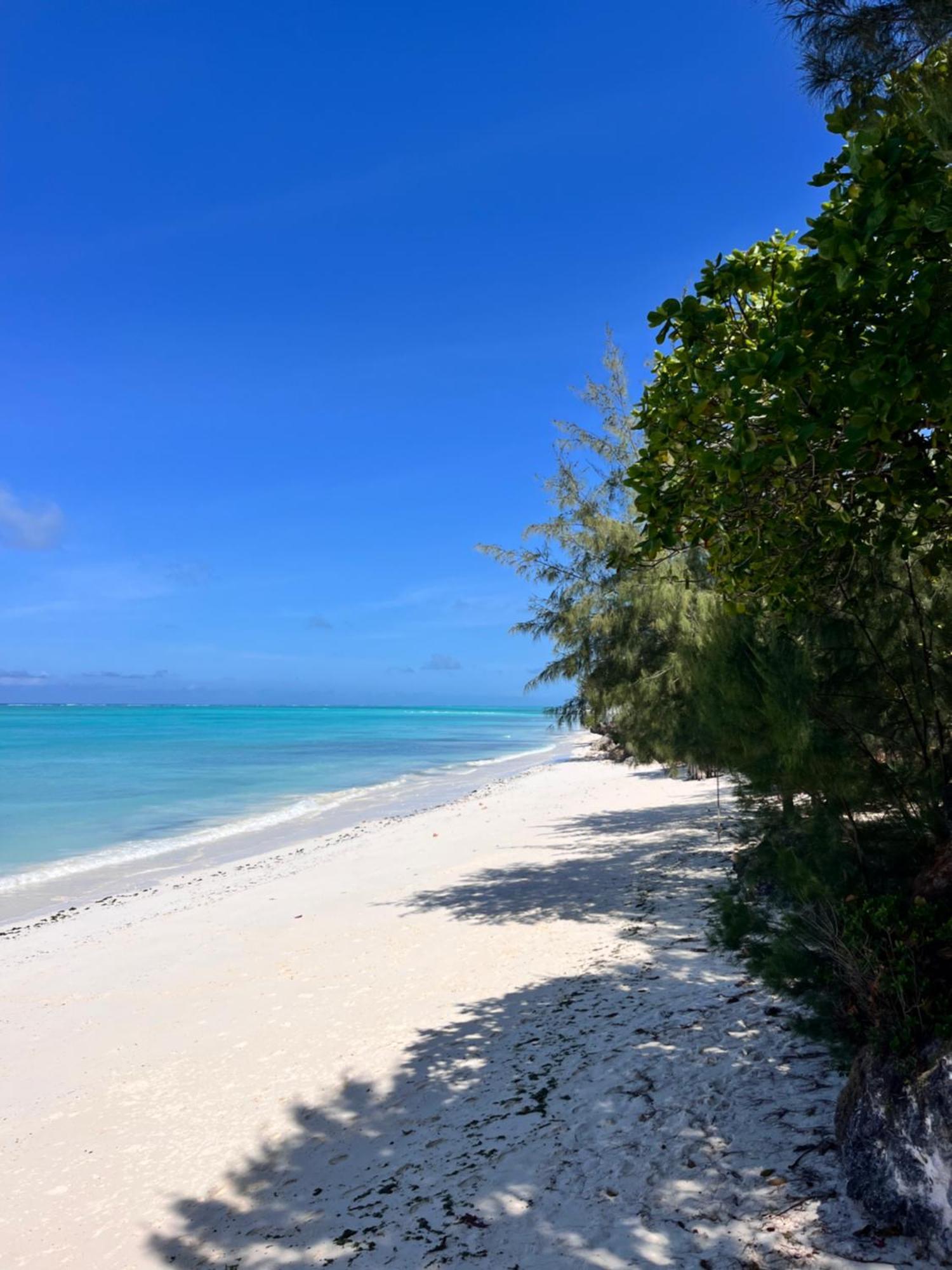 Sazani Beach Lodge And Tidal Lounge Нунгви Экстерьер фото