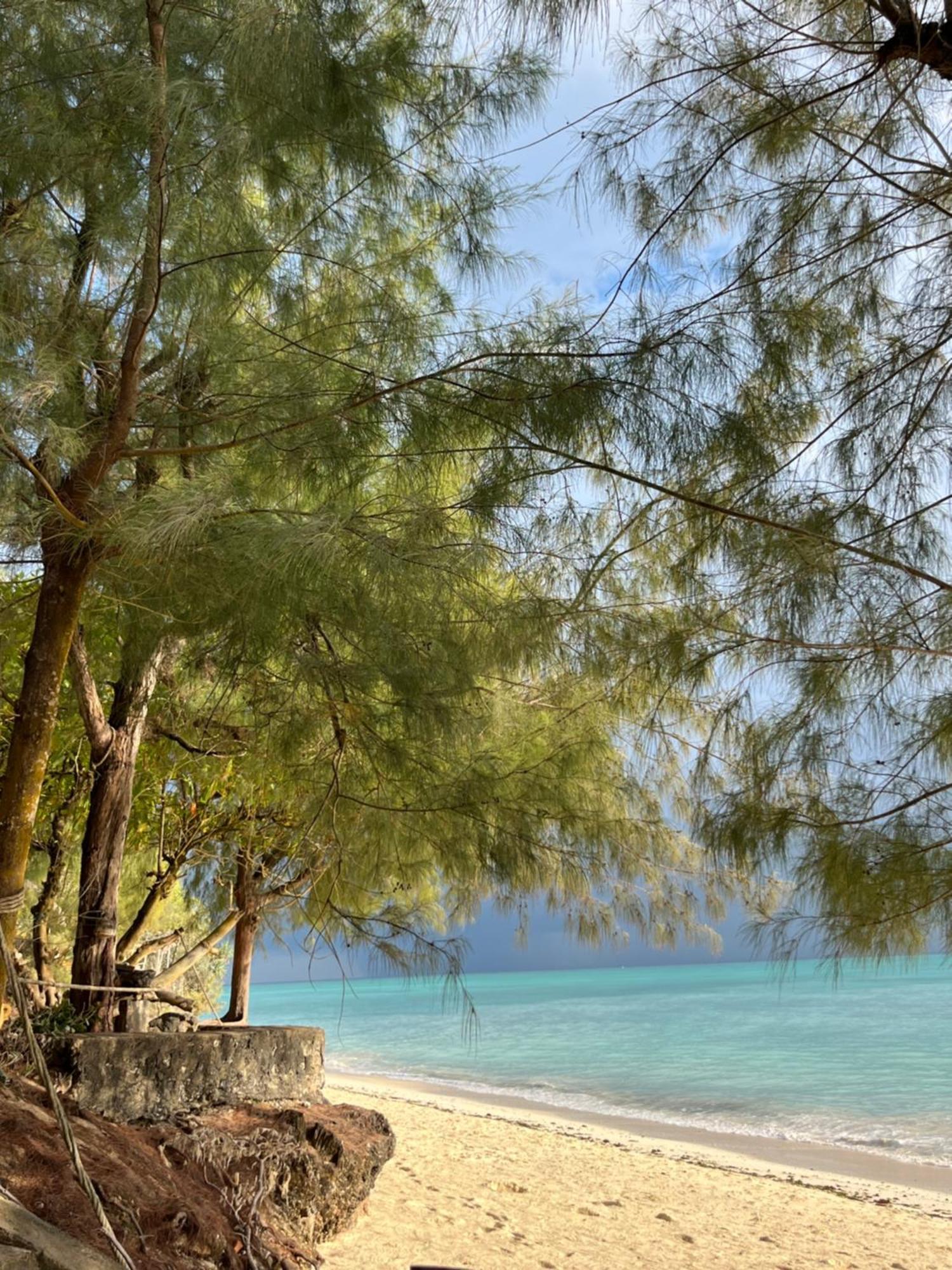 Sazani Beach Lodge And Tidal Lounge Нунгви Экстерьер фото
