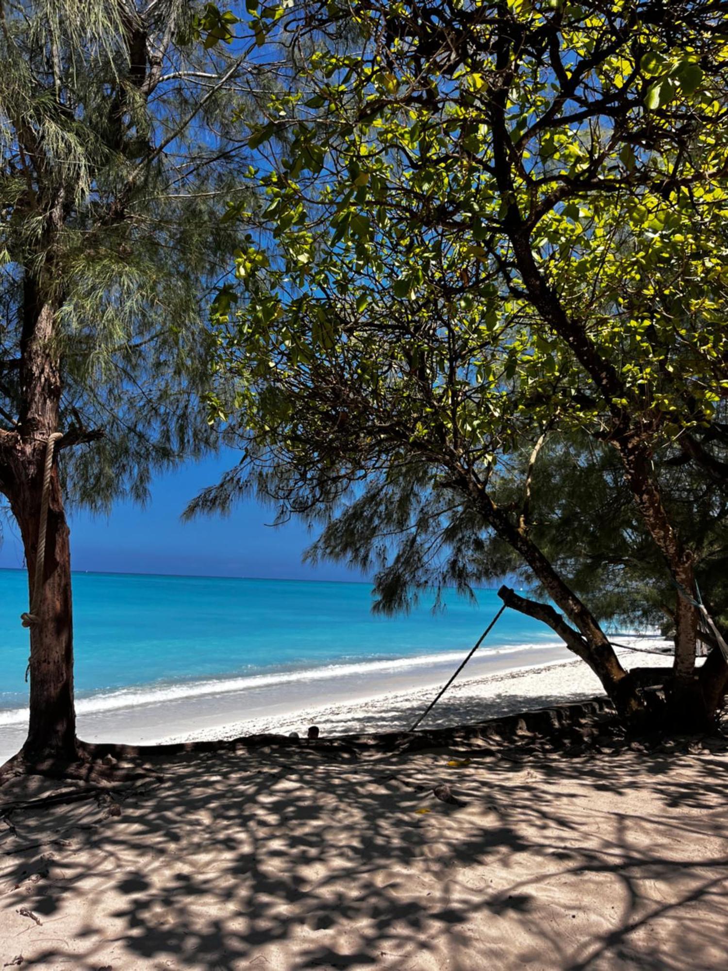 Sazani Beach Lodge And Tidal Lounge Нунгви Экстерьер фото